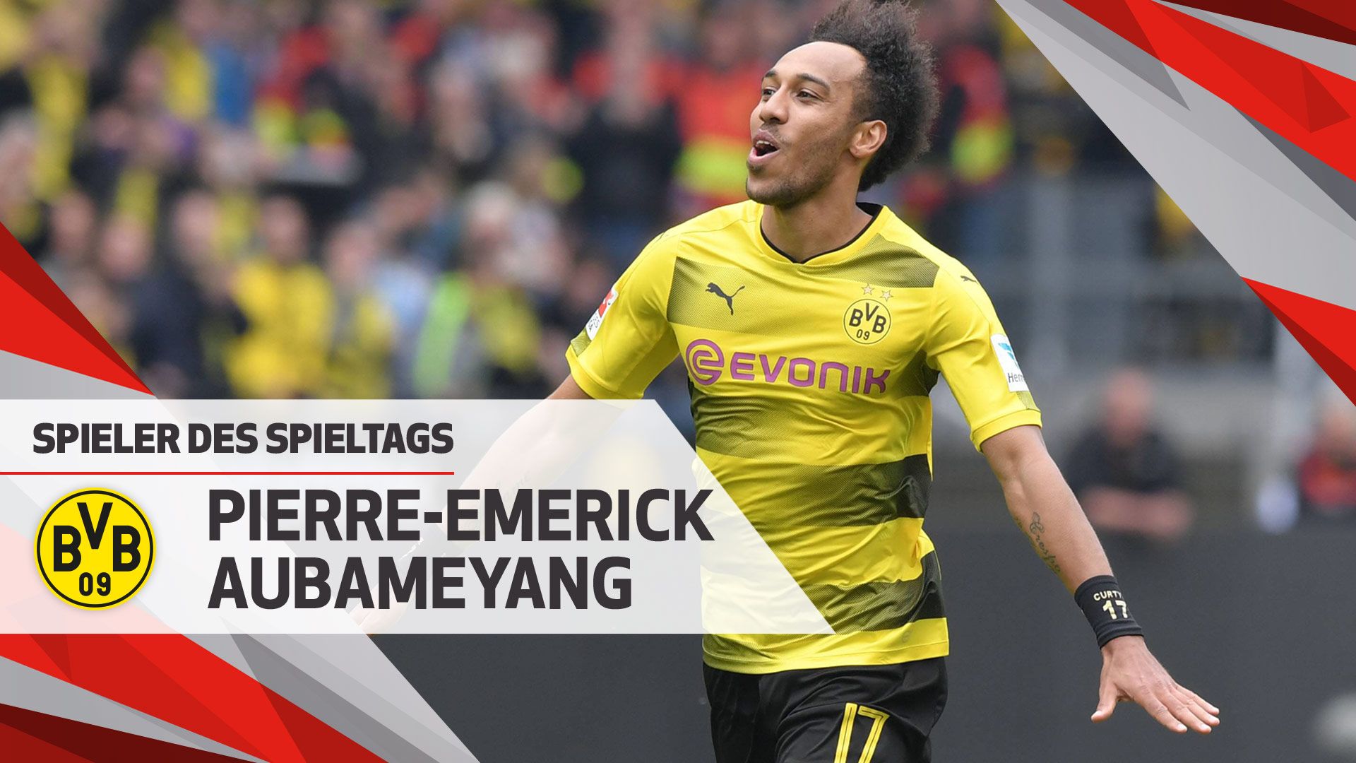 智能掘进工作面系统